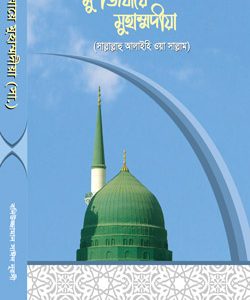 মুজিযাতে মুহাম্মাদিয়া Risale i Nur Bangla translated book cover